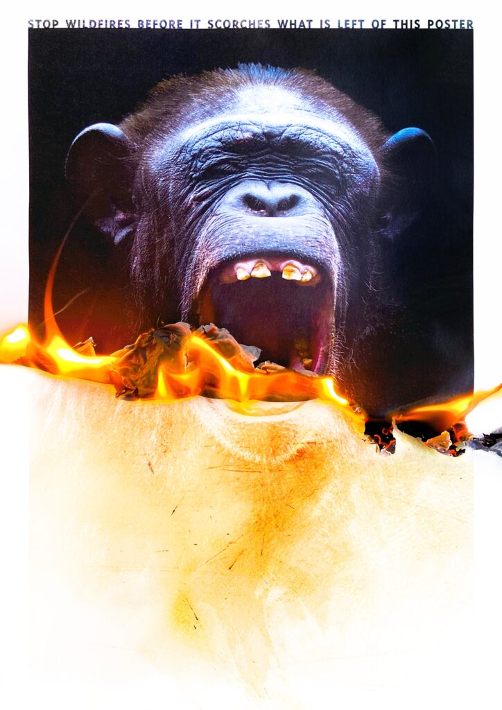 The Burning Poster Series - Chimpanzee