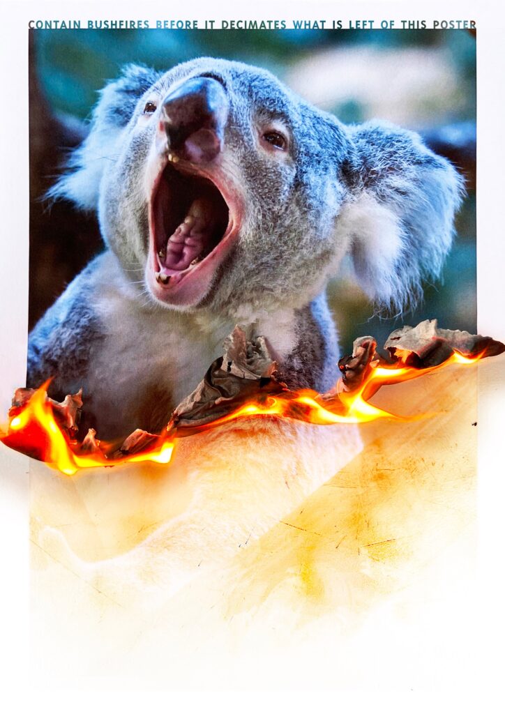 The Burning Poster Series - Koala