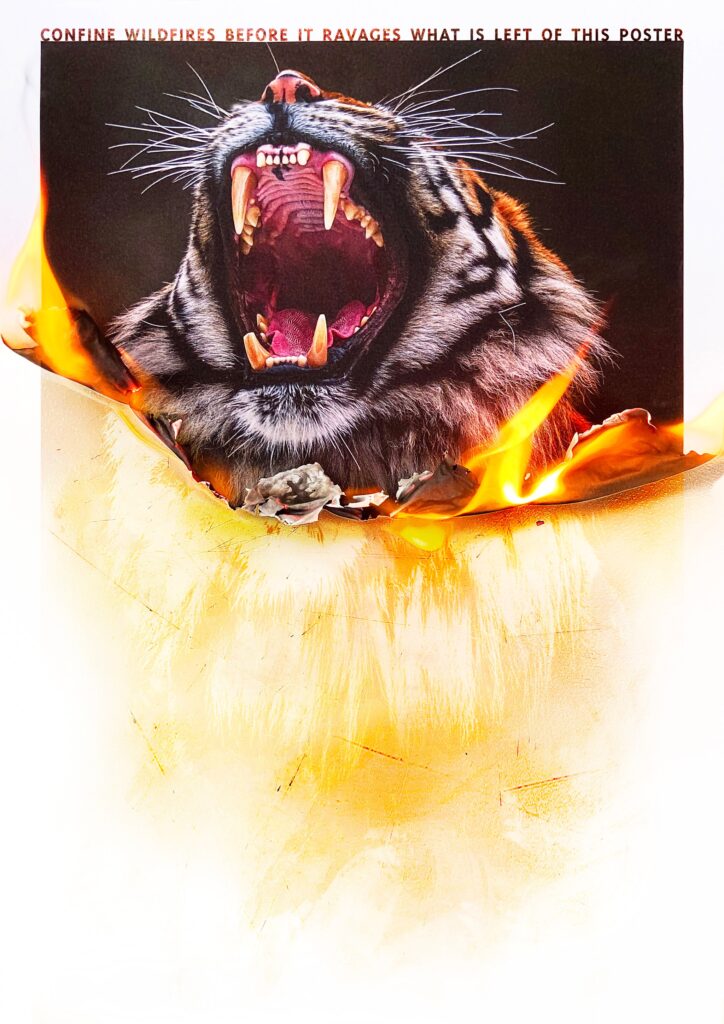 The Burning Poster Series - Tiger